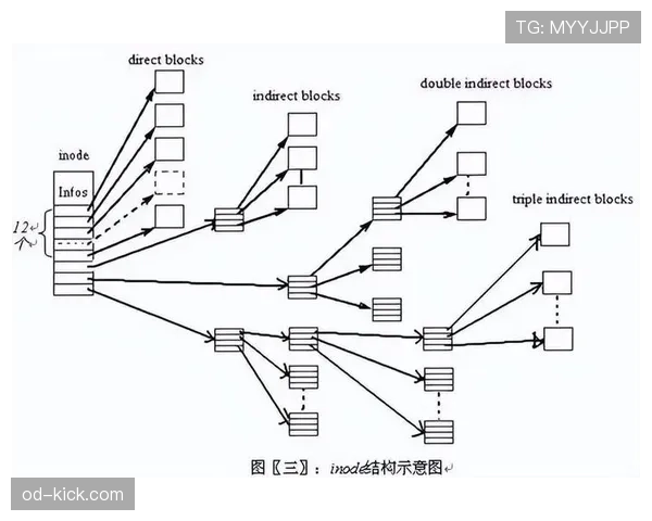 八秒违例是什么规则?新手必知的后场推进时间限制解析